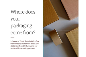 Where Does Cardboard Come From?